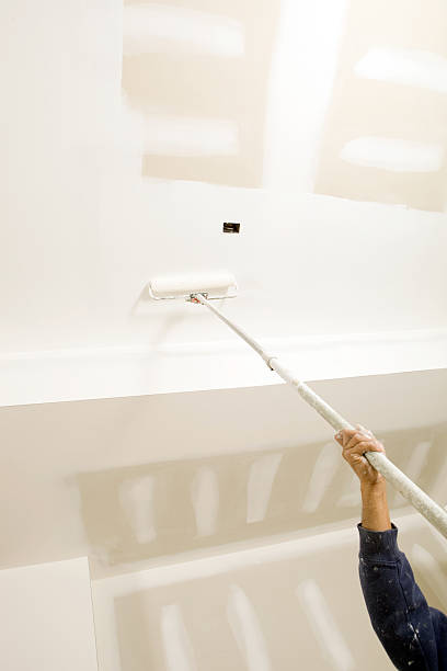 Trusted De Soto, IL Drywall & Painting Services Experts